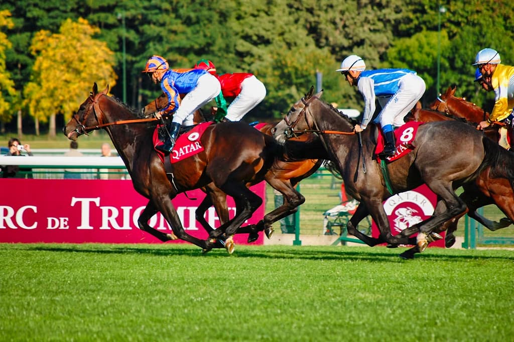 競馬におけるブックメーカーの基礎知識と仕組み