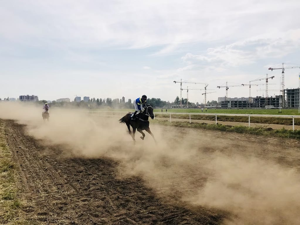 競馬の賭け方の基本と種類