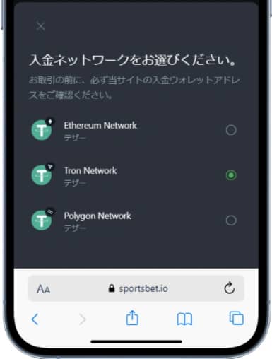 スポーツベットアイオー　入金ステップ7