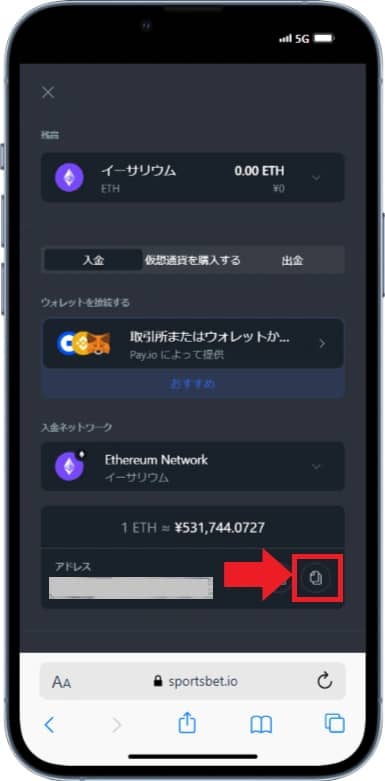 スポーツベットアイオー　入金ステップ6