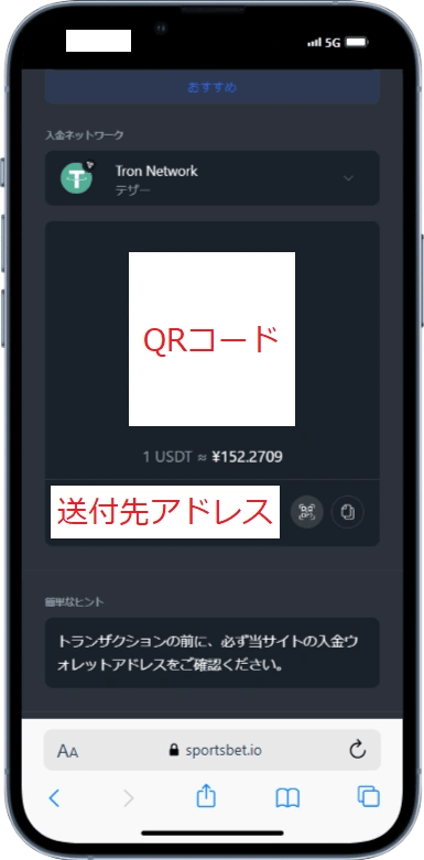 スポーツベットアイオー 入金画面