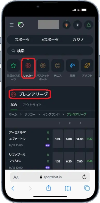 スポーツベットアイオー ベット画面